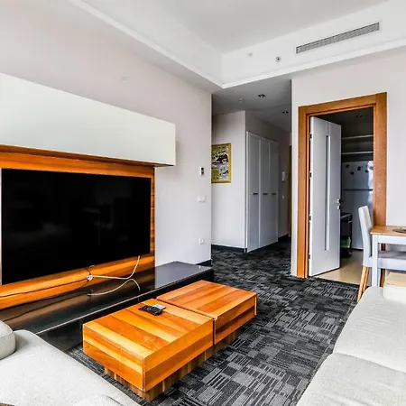 Fully Furnished Flat With Security In Atasehir *